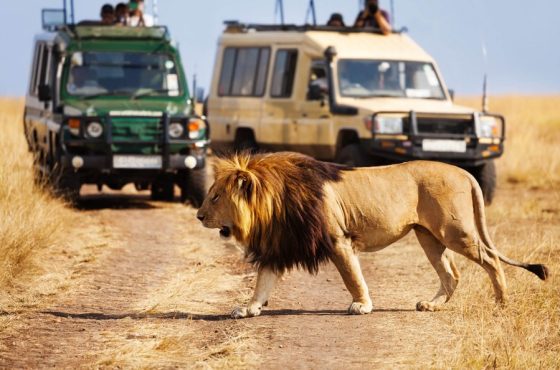 6 Days Tanzania Group & Camping Safari