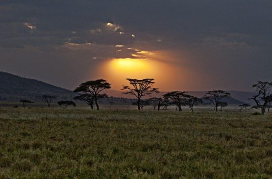 5 Days Ultimate Group Camping Safari